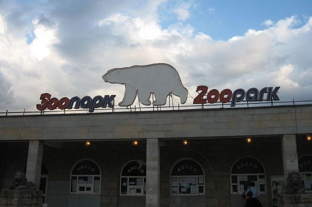 Ленинградский зоопарк не будет пускать детей до 13 февраля