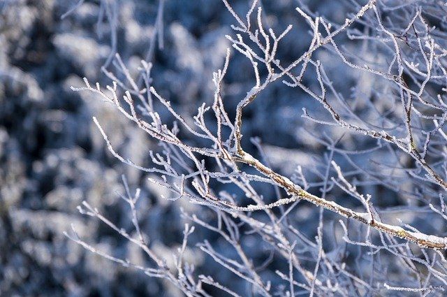 27 января в Алтайском крае будет до -17 градусов