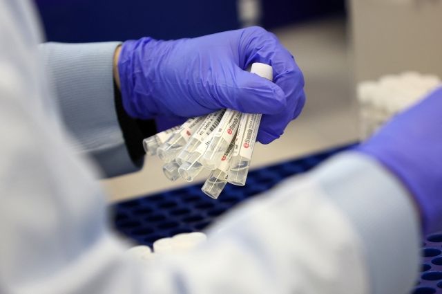В 11 регионах России пока официально не выявили омикрон-штамм коронавируса