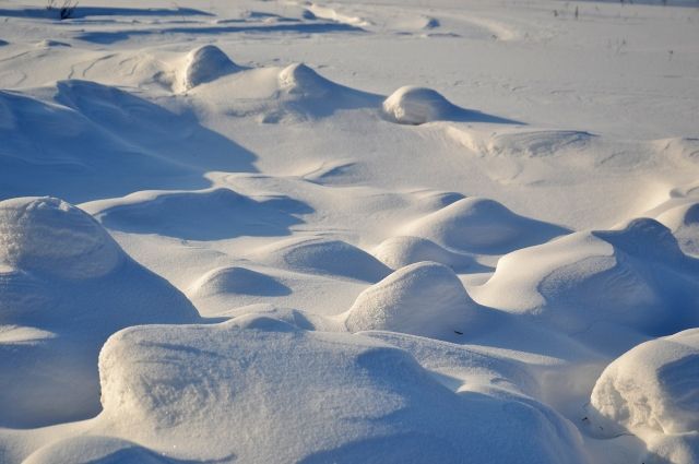 Снежный покров в Санкт-Петербурге достиг отметки в 38 сантиметров
