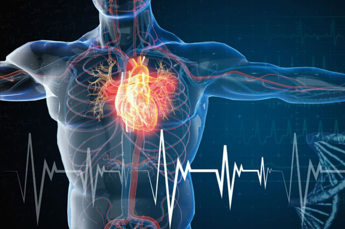 Немой удар. Может ли сердце остановиться «на ровном месте»? | Здоровая  жизнь | Здоровье | Аргументы и Факты