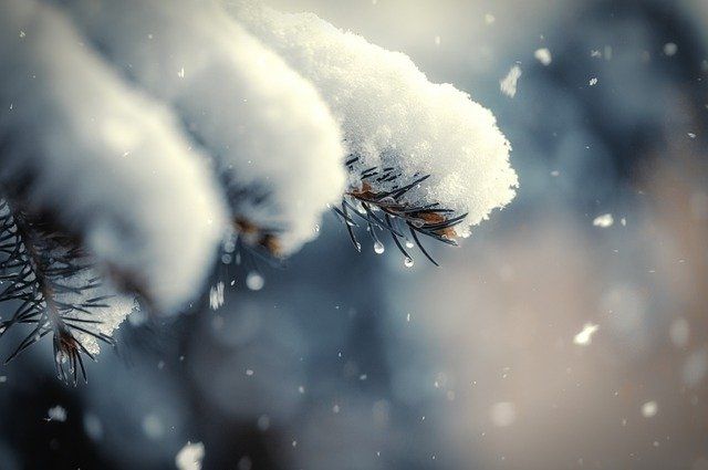 МЧС по Саратовской области сообщает о потеплении и мокром снеге