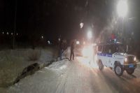 В Бузулуке сотрудники Росгвардии помогли водителю, попавшему в снежный плен