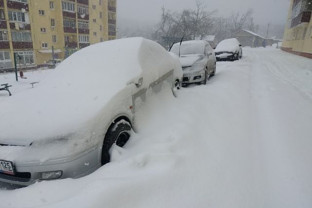 Брянских водителей предупредили о снежных заносах в последний день января