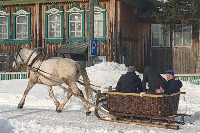 Лошадь увезла пятилетнюю девочку в Коряжме, напугав отца и отдыхающих