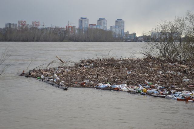 Более 50 источников загрязнения реки Тула нашли в Новосибирске