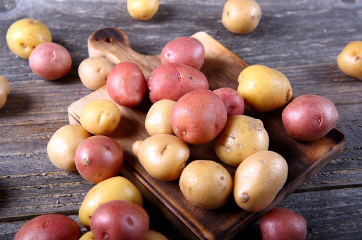 Три цвета картофеля. В чем отличия белых, желтых и кр��сных клубней