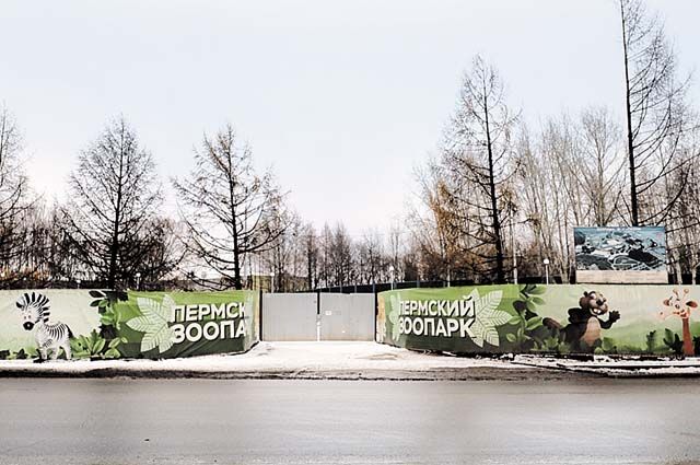 Строить новый зоопарк в Перми начали в 2017 году.