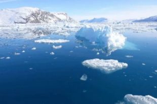 Таяние льдов в Гренландии подняло уровень воды мирового океана.
