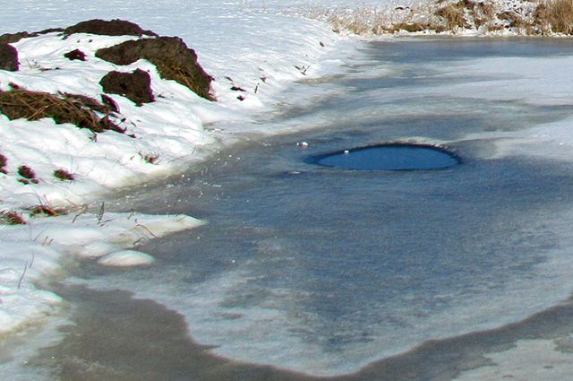 В Лесосибирске известного моржа заподозрили в эксгибиционизме