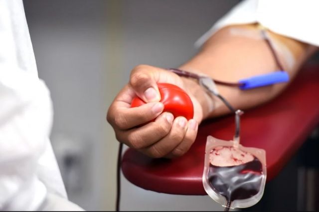 Доноры в Краснодаре могут сдать кровь для детей с онкологией 14 февраля