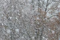 В Оренбуржье ожидается ухудшение погоды