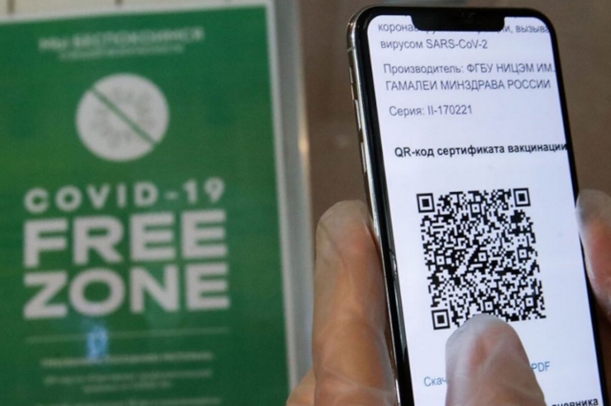 В Институте имени Пушкина нашли замену термину «QR-код» | Аргументы и Факты