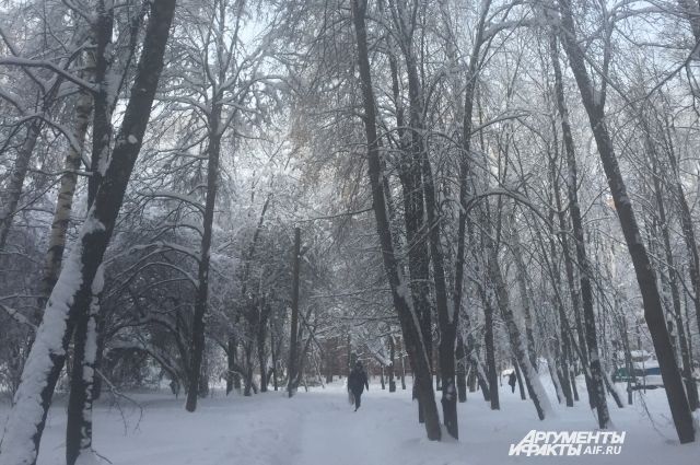 До 4 градусов тепла ожидается в Псковской области 10 февраля