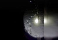 Волонтеры нашли Дмитрия по следам в глубоком снегу