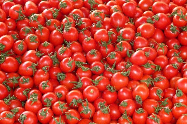 В РФ предложили повысить квоту на ввоз томатов из Турции до 350 000 тонн