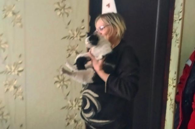 Ульяновские спасатели освободили застрявшую в подполе кошку