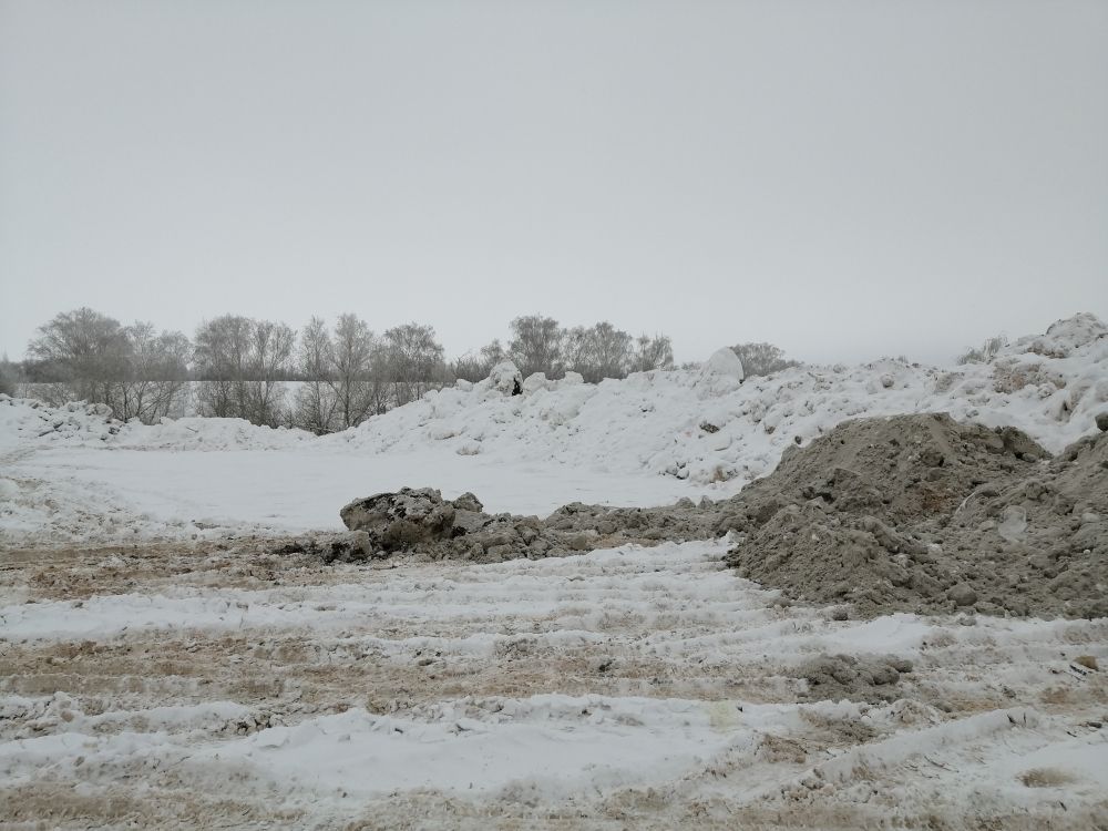 Совсем свежие - фото от 12 февраля, сразу после снегопада