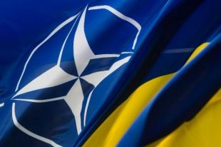 Украина могла бы отказаться от вступления в НАТО, — Пристайко