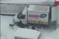 В Новосибирске несколько мужчин подрались за просроченные продукты у мусорных баков в Кировском районе. 