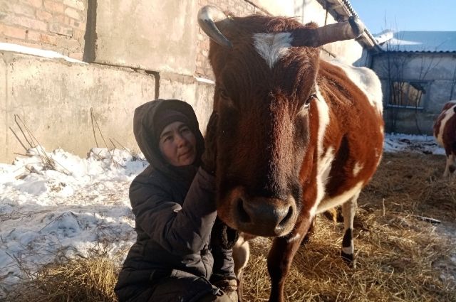 Эксперт о бюджетной поддержке самозанятых жителей Волгоградской области