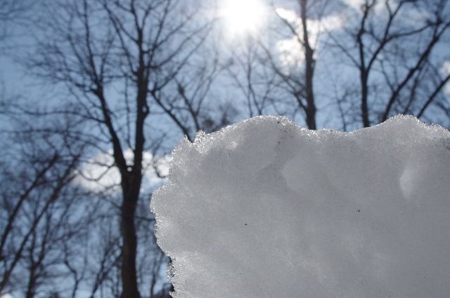 До 0 градусов потеплеет на Алтае 19 февраля