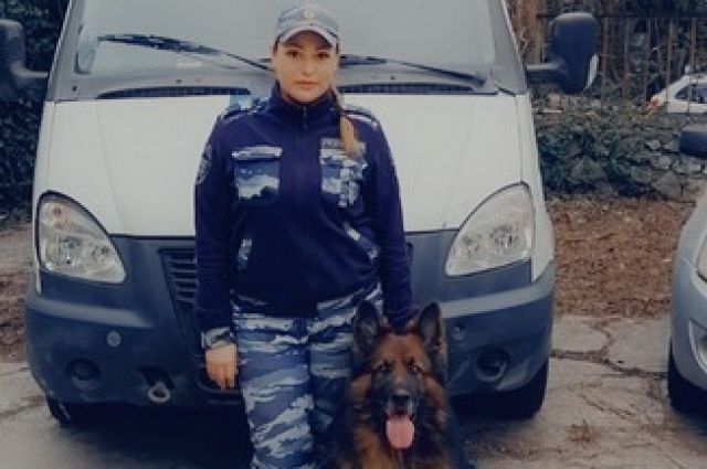 Служебная собака Айс помогла найти пропавшего школьника в Ялте
