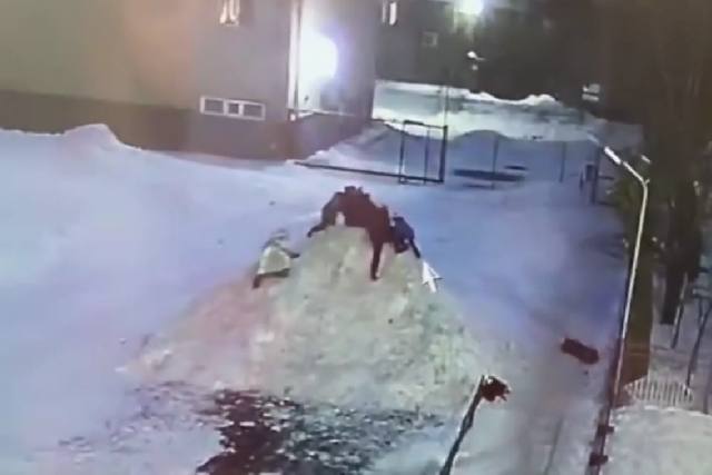 Девочка сломала позвоночник при падении с кучи снега у школы в Новосибирске