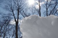 В феврале в Пермском крае теплее нормы на несколько градусов. 