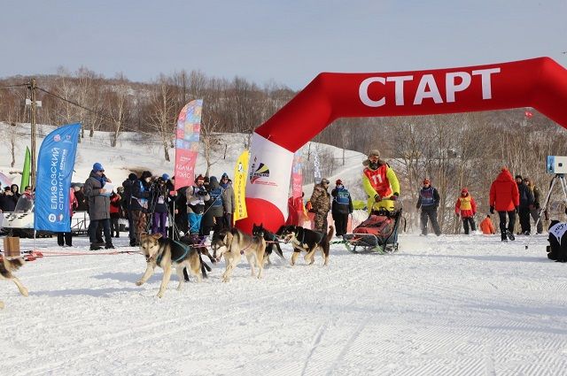 На Камчатке подвели итоги чемпионата краевой столицы по ездовому спорту