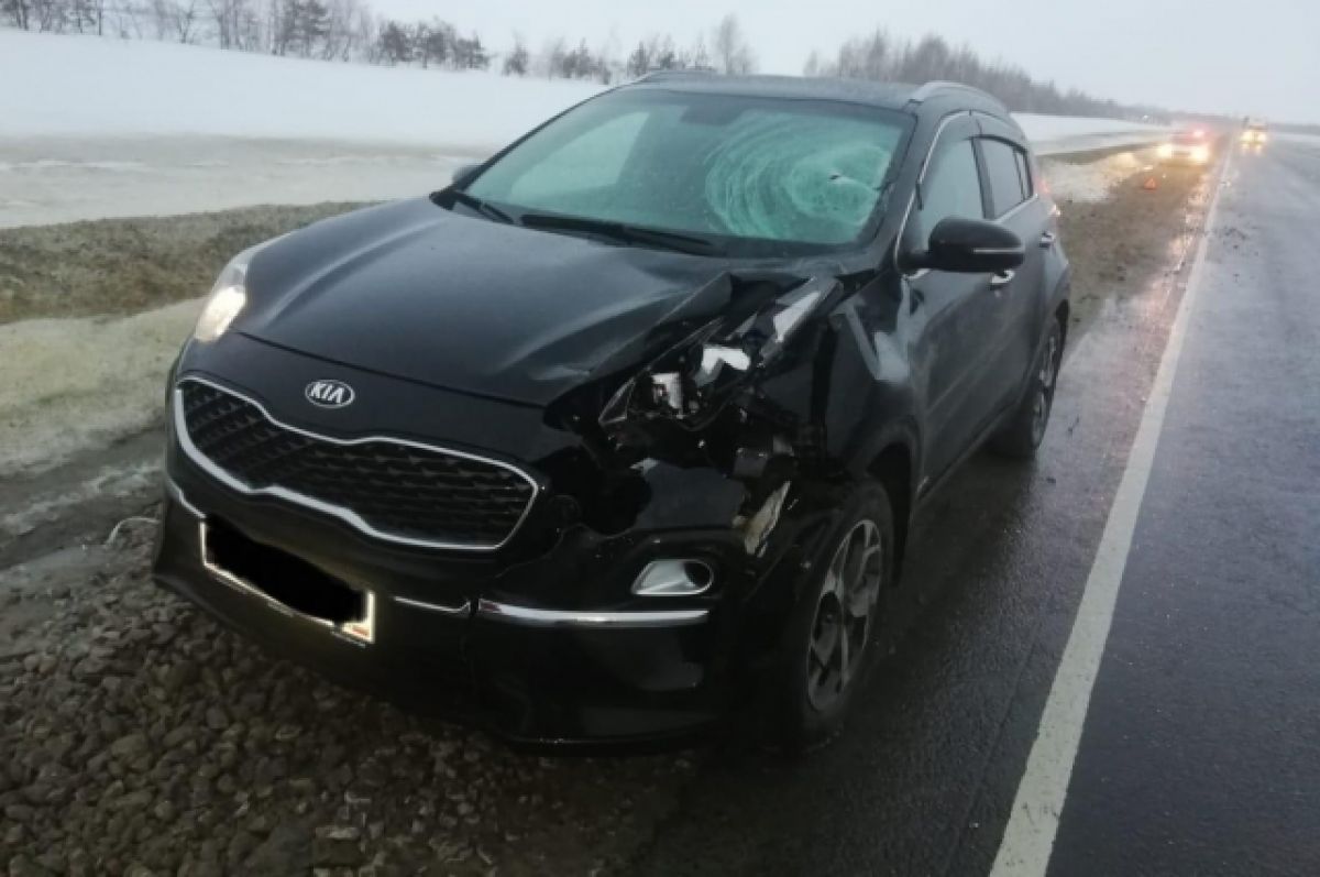 На саратовской трассе водитель Kia Sportage сбил пешехода, он скончался |  АиФ Саратов