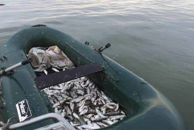Пограничники в Дагестане изъяли у браконьеров 2,1 тыс. экземпляров рыбы
