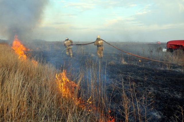 В Псковской области началась подготовка к пожароопасному сезону