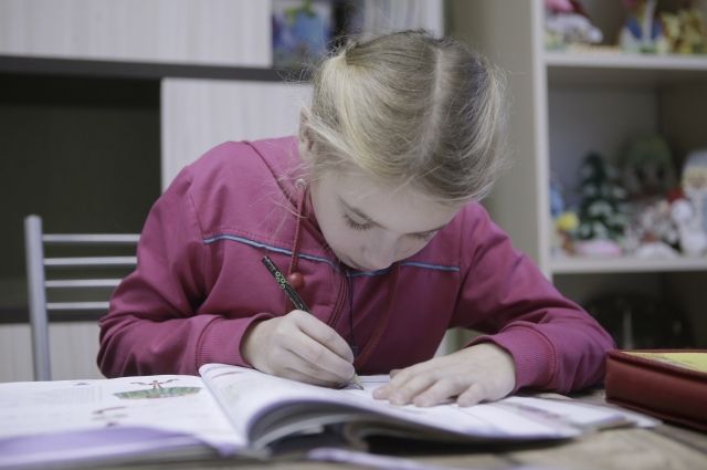 Две школы в Псковской области перешли на дистанционный формат обучения