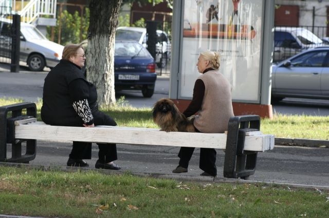 За год в Омской области стало на 18 тысяч меньше пенсионеров