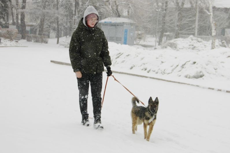 Первый день весны. Март пришел в Иркутск со снегопадом.
