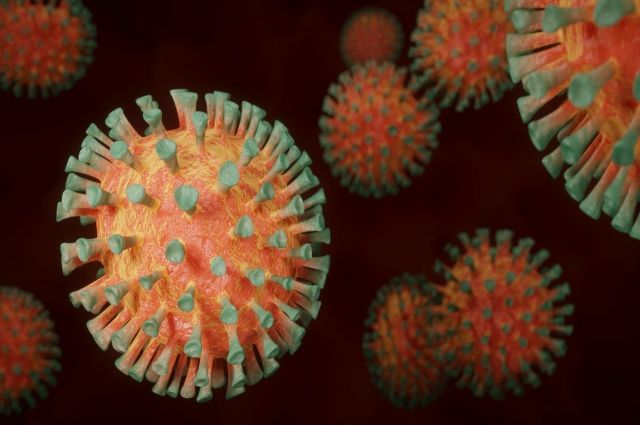 В Поморье 822 человека заболели коронавирусом за сутки
