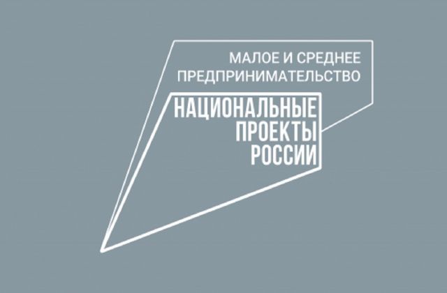 Социальные предприниматели области получат региональную господдержку