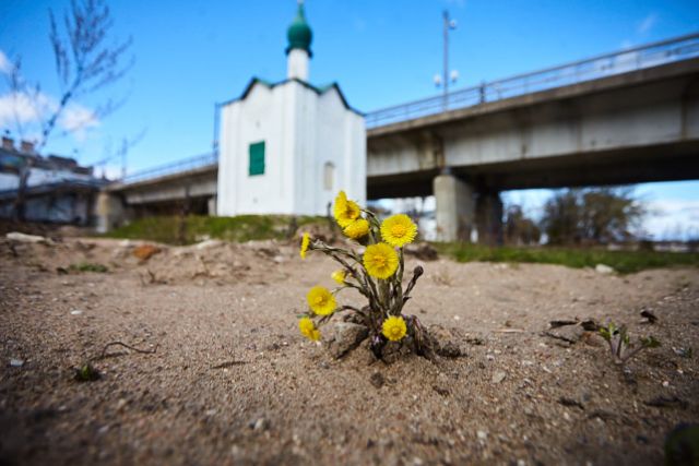 Часовня «сброшенная с пьедестала»