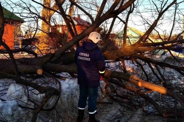 На севере Ульяновска упавшее дерево оборвало провода