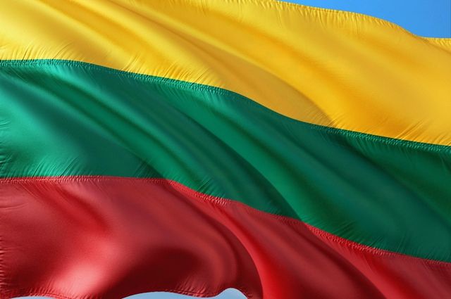 Литва возобновила выдачу транзитных виз для россиян