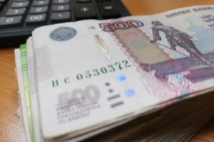 Сотрудники полиции установили, что к краже причастна ранее неоднократно судимая 37-летняя женщина.