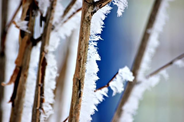 Заморозки и мокрый снег ожидаются в Ростове с 14 по 18 марта