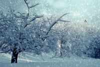 Из-за метели и снегопада в Оренбуржье перекрывают трассы