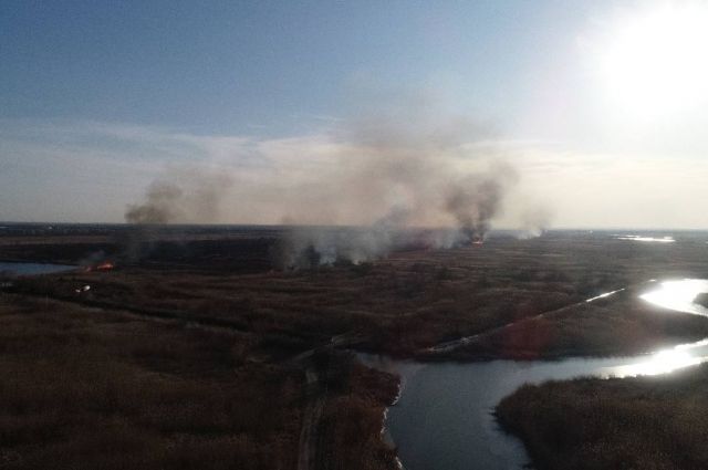 Ландшафтный пожар под Ростовом разошёлся на 800 квадратных метров