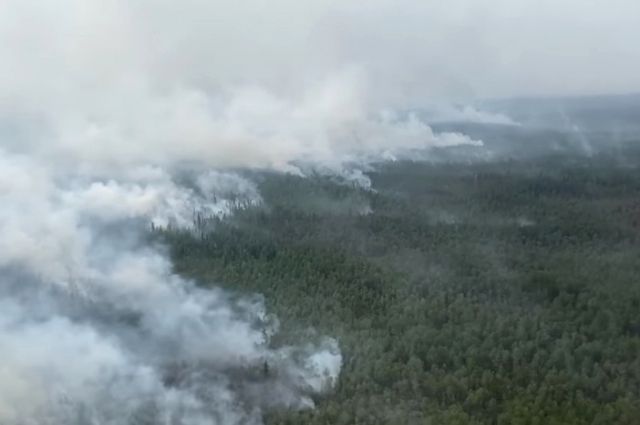Первыми загорелись леса в Кондинском и Урайском лесничествах