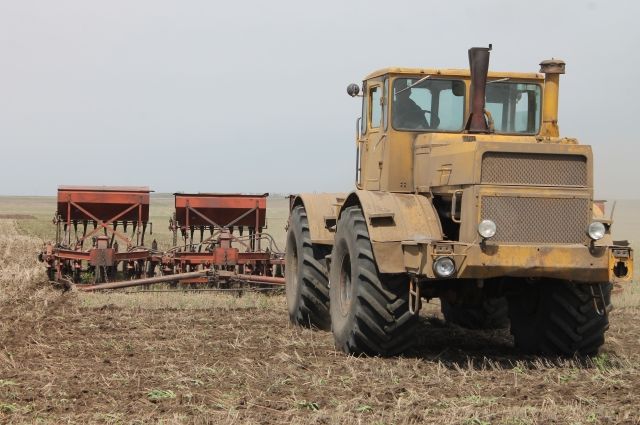 В Оренбуржье фермеры испытывают трудности с кредитами и семенами