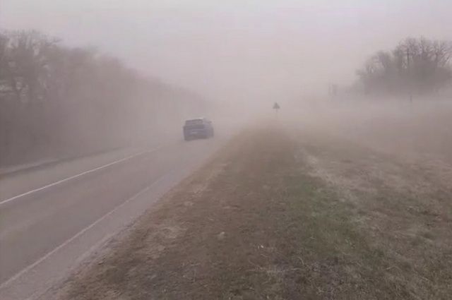 При пыльной буре видимость на дорогах была не больше 50 метров. 