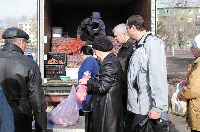 Оренбуржцы высказались о намерении сажать картофель в новом дачном сезоне