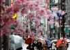 Любование цветущей сакурой вошло в список официальных праздников и обрядов
